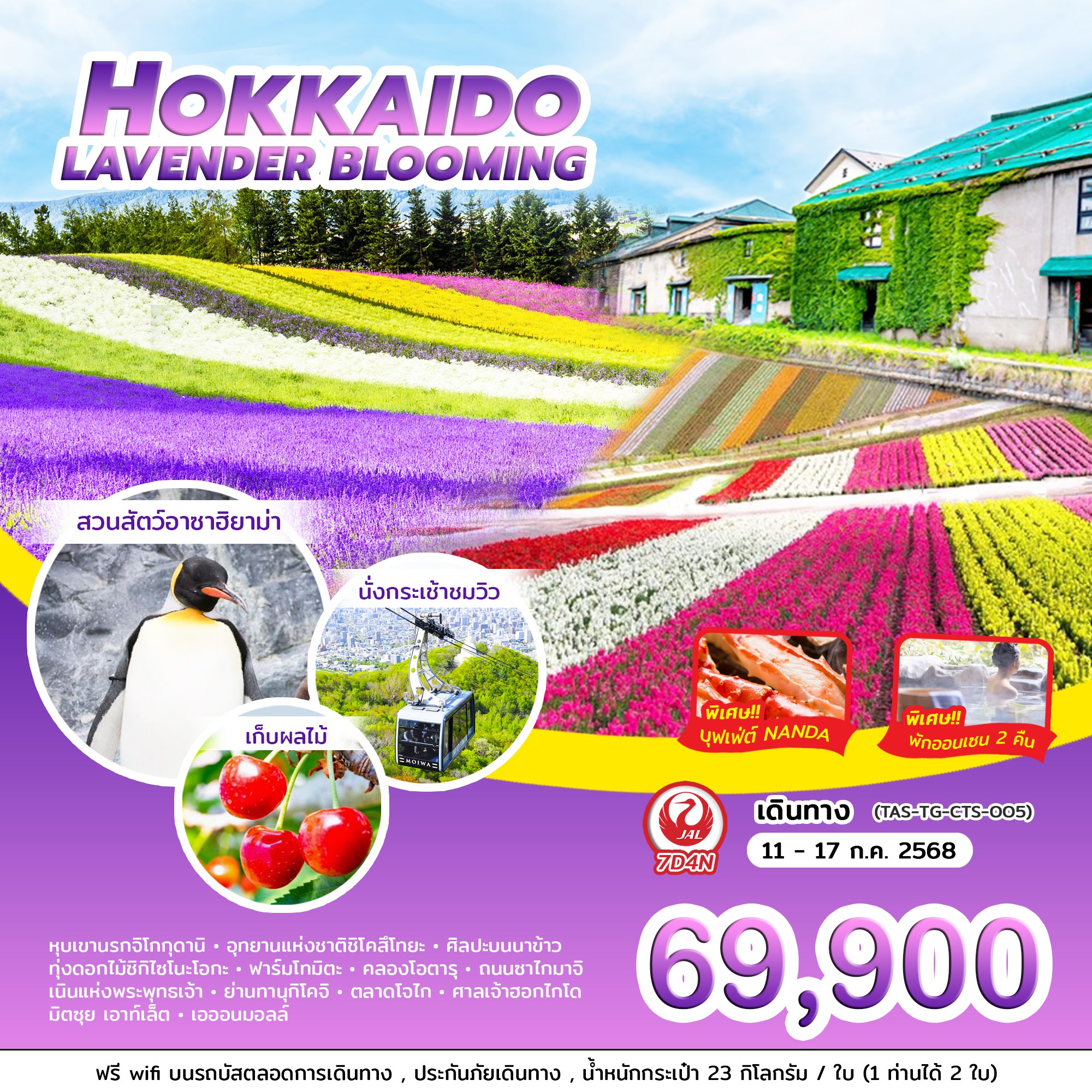 HOKKAIDO LAVENDER BLOOMING (7D4N) BY JL